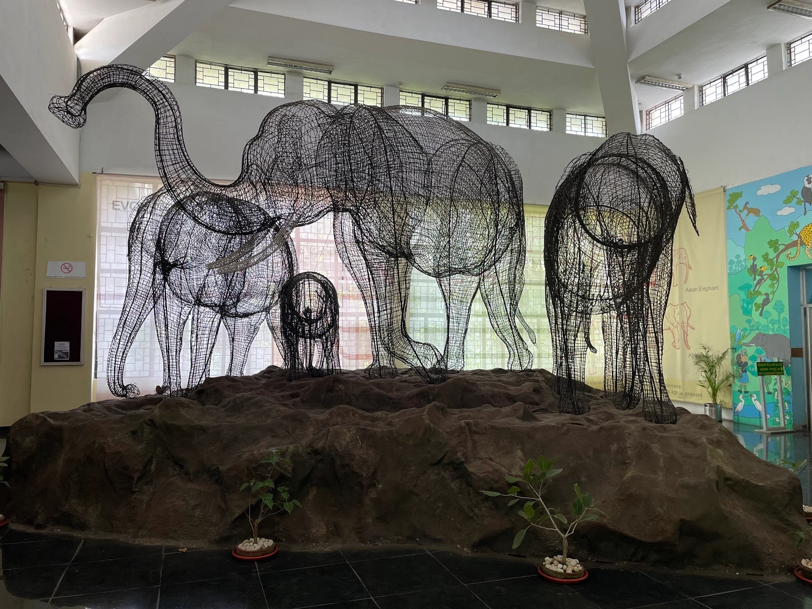 Regional Museum of Natural History Mysuru
