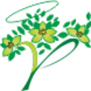Host avatar